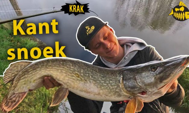 ****VIDEO HAKKERT & HONDERS*** Snoek vanaf de kant met kunstaas