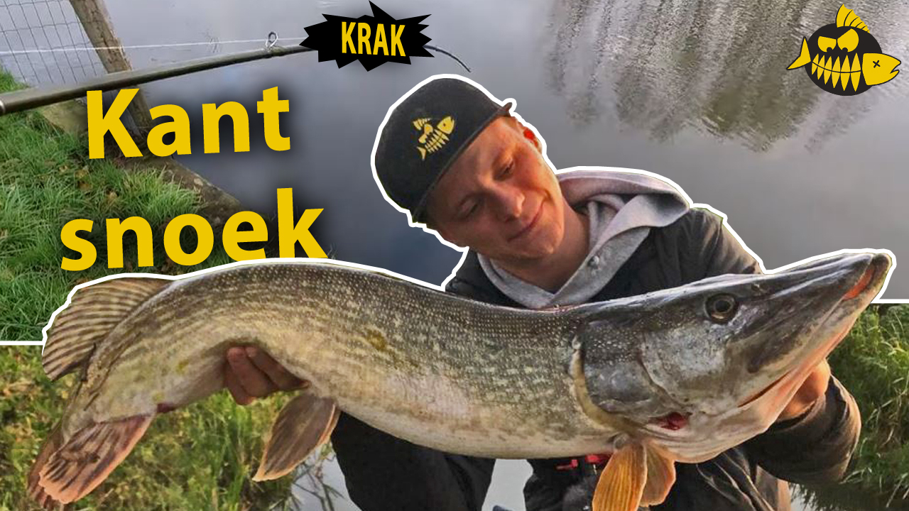 ****VIDEO HAKKERT & HONDERS*** Snoek vanaf de kant met kunstaas