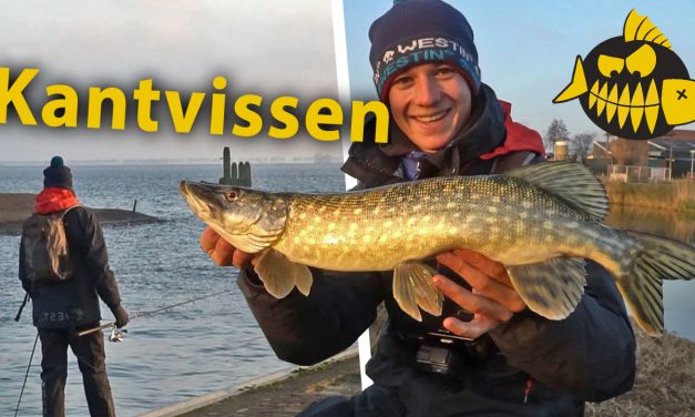 ***Roofmeister VIDEO*** Topstekken vanaf de kant – Streetfishing in Hellevoetsluis