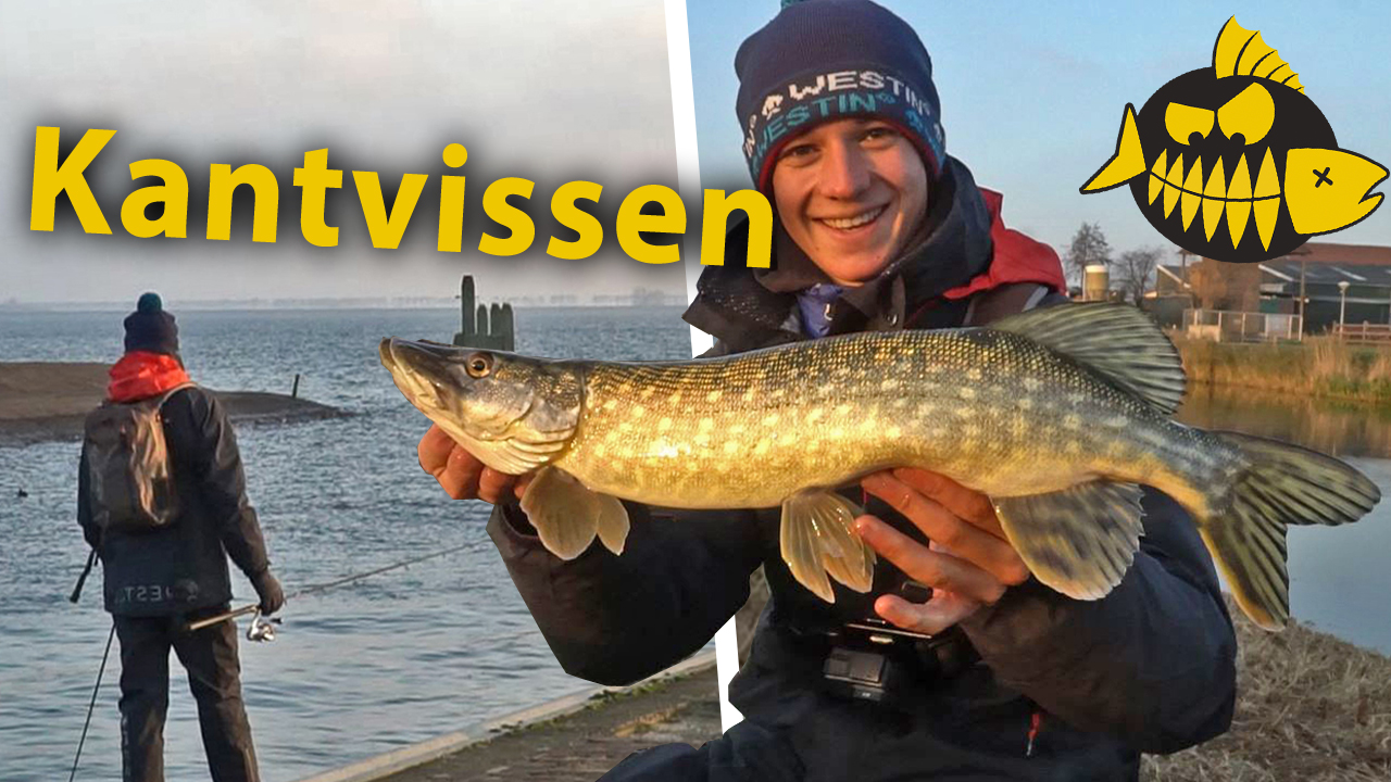 ***Roofmeister VIDEO*** Topstekken vanaf de kant – Streetfishing in Hellevoetsluis
