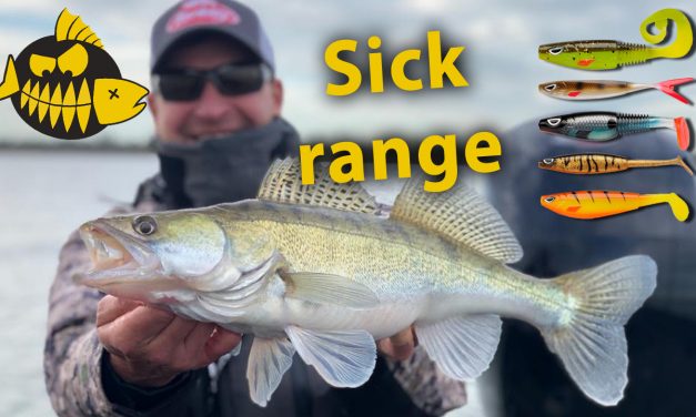 Elke denkbare actie voor een shad – Berkley Sick Shad range