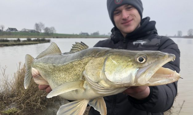 Dit heb je nodig voor snoekbaars in de winter> Tips van zander toppers