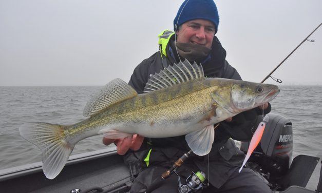 Verticalen en dropshotten op snoekbaars met Luc Coppens