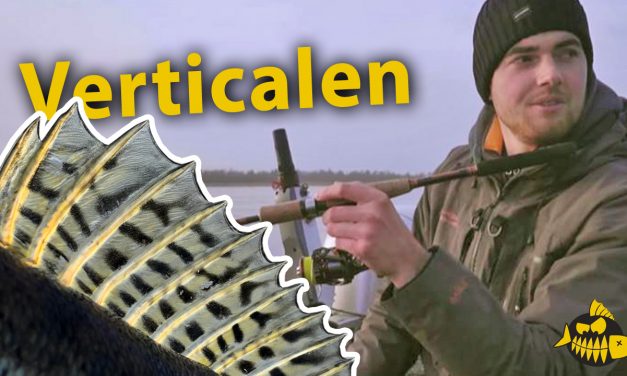 ***Roofmeister VIDEO*** Verticalen op snoekbaars – Rivier stekken