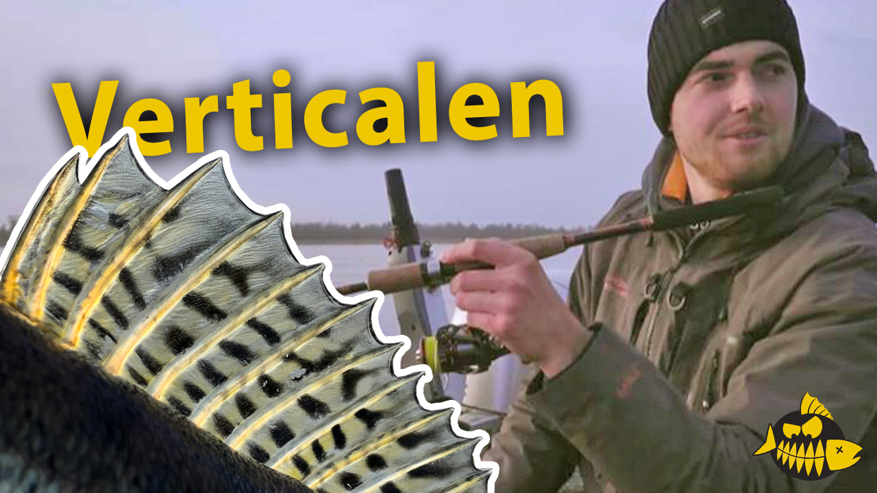 ***Roofmeister VIDEO*** Verticalen op snoekbaars – Rivier stekken