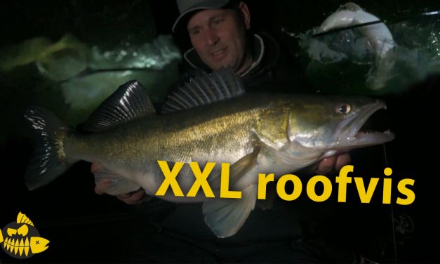 ***Roofmeister VIDEO*** Is dit een snoek van 130 cm? Grote roofvis met The Eagle