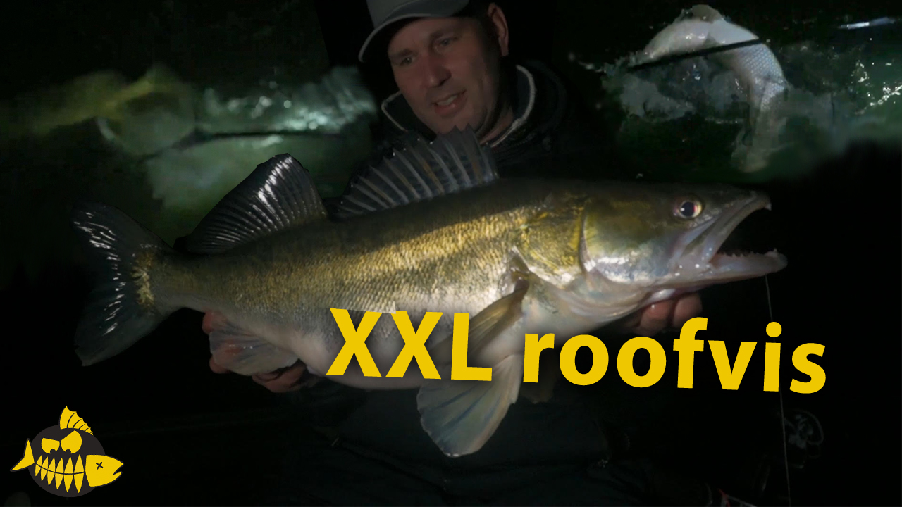 ***Roofmeister VIDEO*** Is dit een snoek van 130 cm? Grote roofvis met The Eagle