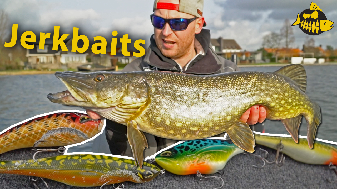 ***Roofmeister VIDEO*** Alles over jerkbaits – Met Thijs op voorjaarssnoek