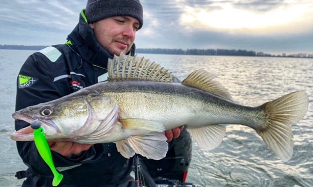 Allround op snoekbaars – Tips van o.a. Coppens, Honders, De Groot & Bonouvrie
