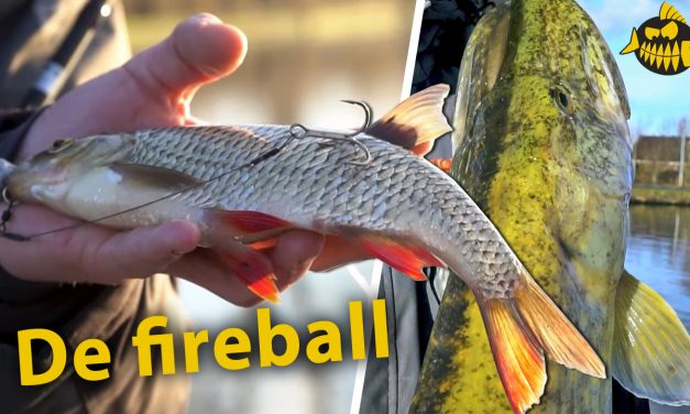 Zo bevestig je voorn op de fireball – Zwemblaas lekprikken