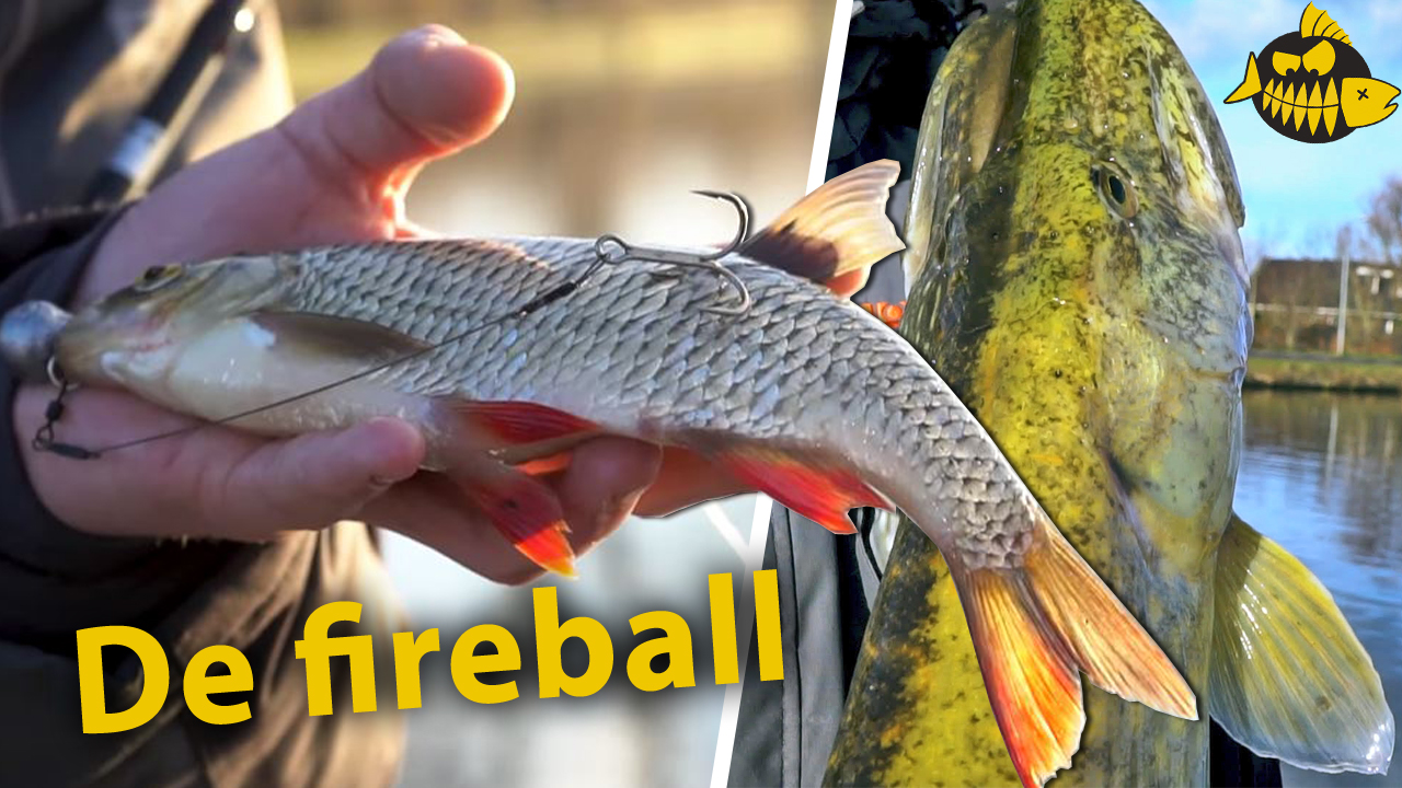 Zo bevestig je voorn op de fireball – Zwemblaas lekprikken