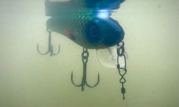 Een allround snoek plug – De McCelly van Abu Garcia