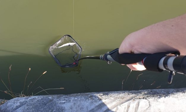 Het oplepelen van vangsten – Onmisbaar tijdens Streetfishing