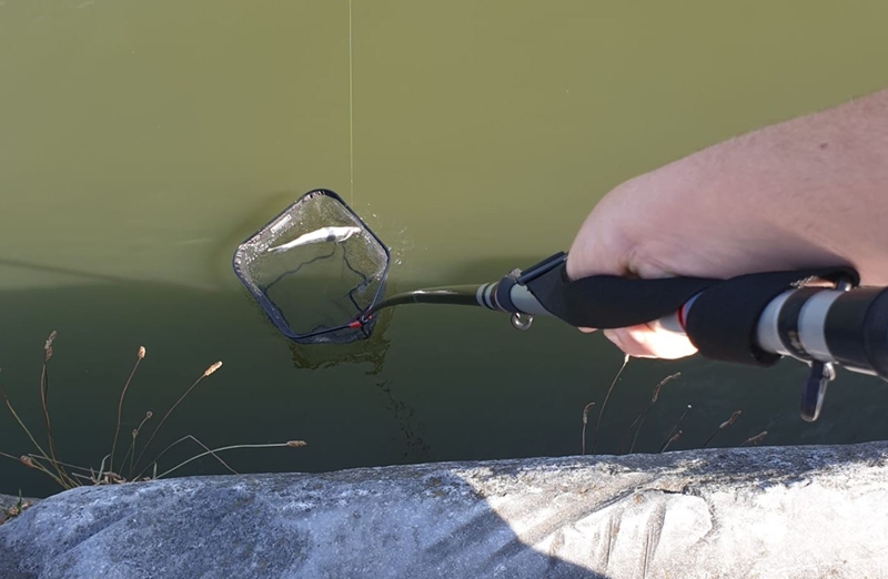 Het oplepelen van vangsten – Onmisbaar tijdens Streetfishing