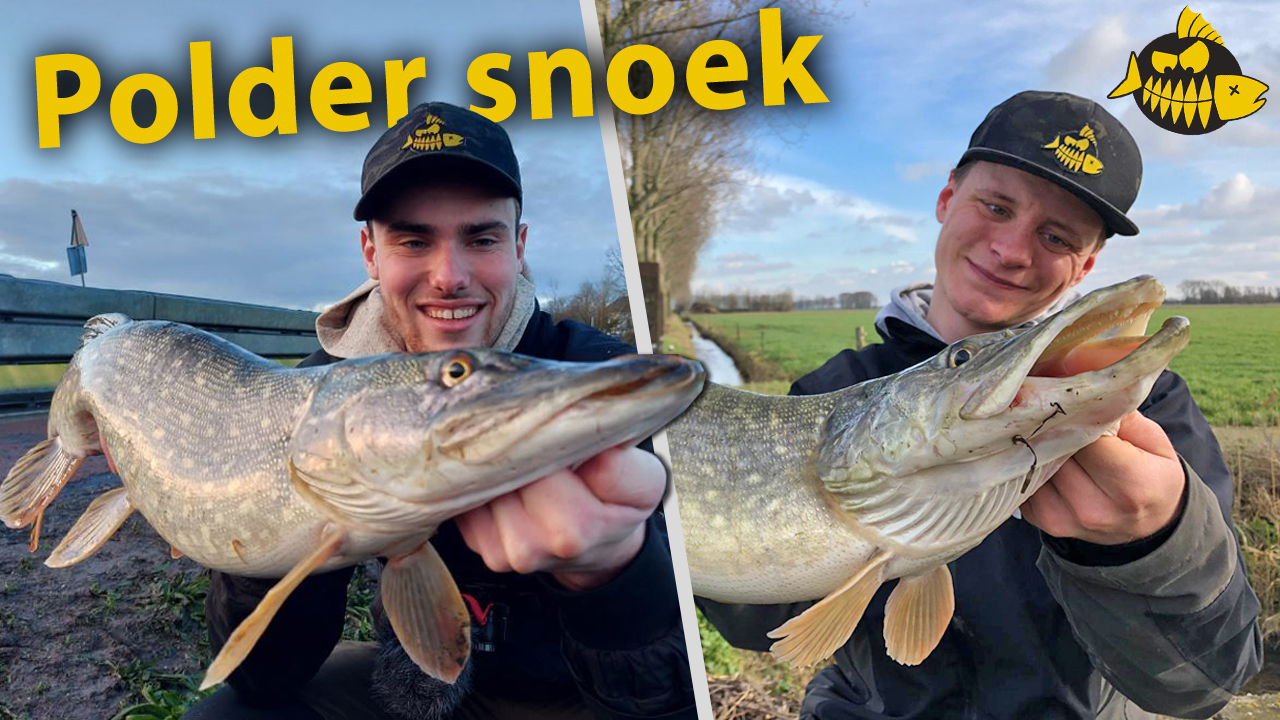 ***Roofmeister VIDEO*** Kantvissen op snoek – Wild life in de polder met Hakkert & Honders