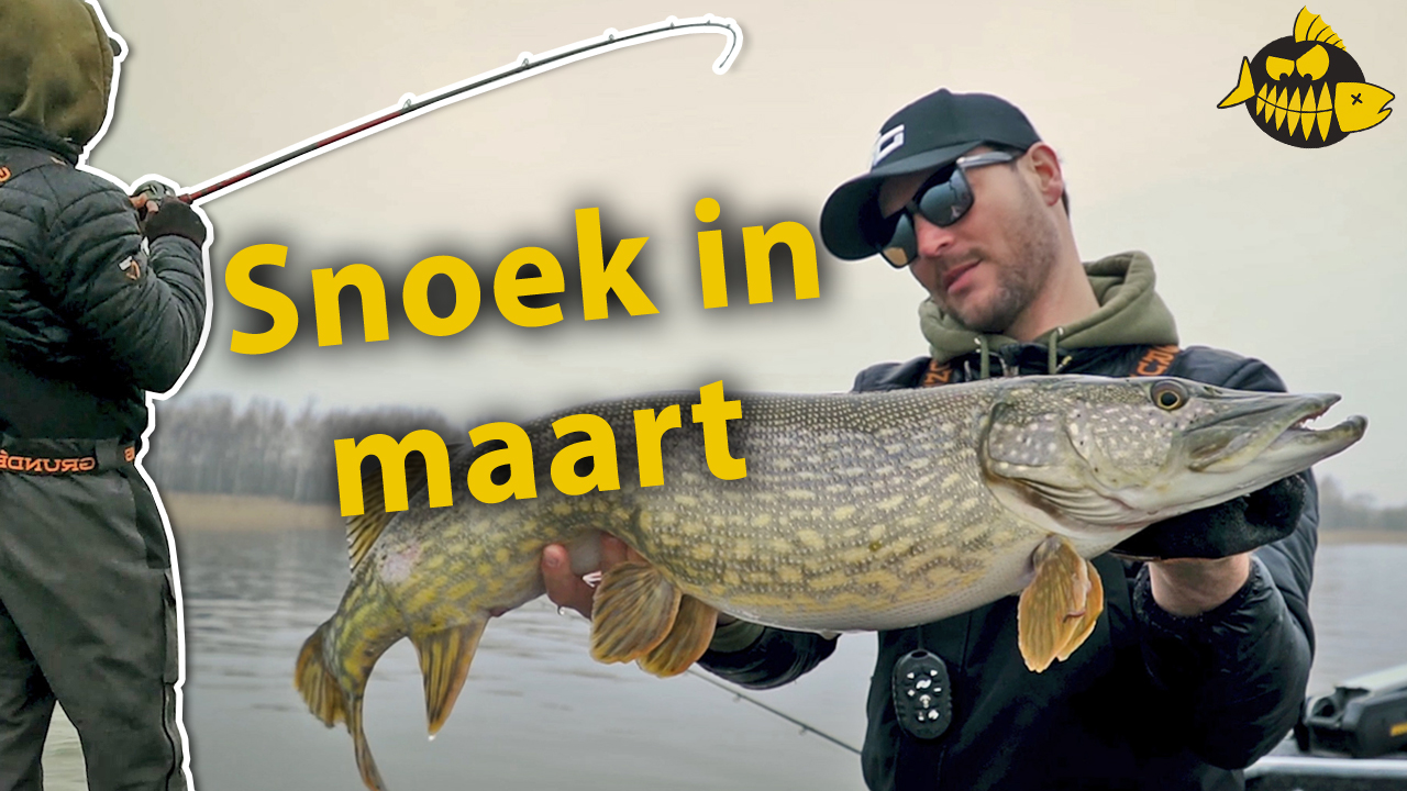 ***Roofmeister VIDEO*** Grote, zware snoek op het ondiepe met Sean Wit – Het slotoffensief