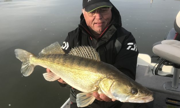 De mooiste tijd voor snoekbaars vissers op het ondiepe – Jouke Jansma