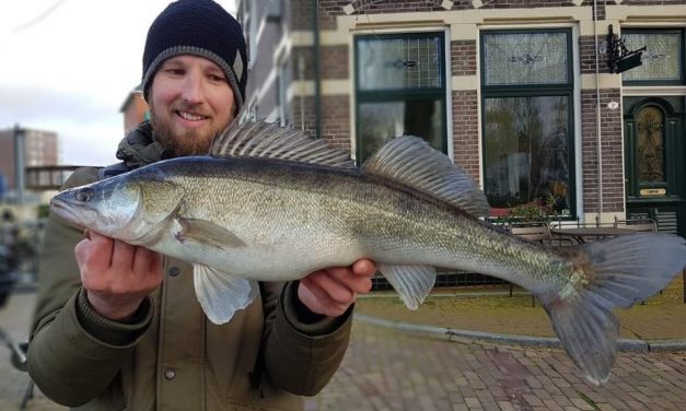 Streetfishing, dropshotten & snoekbaarscadeautjes