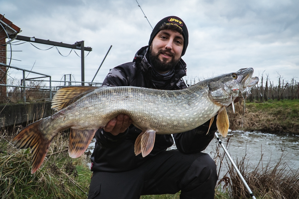 Strike King in de Benelux – Shads met koffie smaak en spinnerbaits op topsnelheid