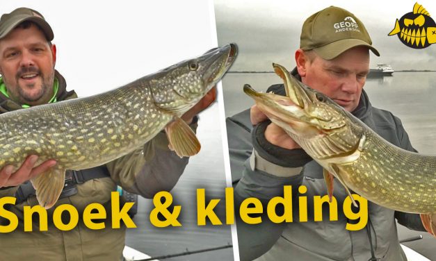 ***Roofmeister VIDEO*** Snoek op de Randmeren – Trollen & werpen