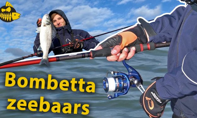 De techniek voor winter zeebaars – Bombetta in de Europoort