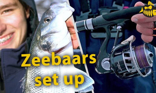 Zeebaars setup voor het nieuwe seizoen – HTO Nebula & Cinnetic Crafty Hybrid