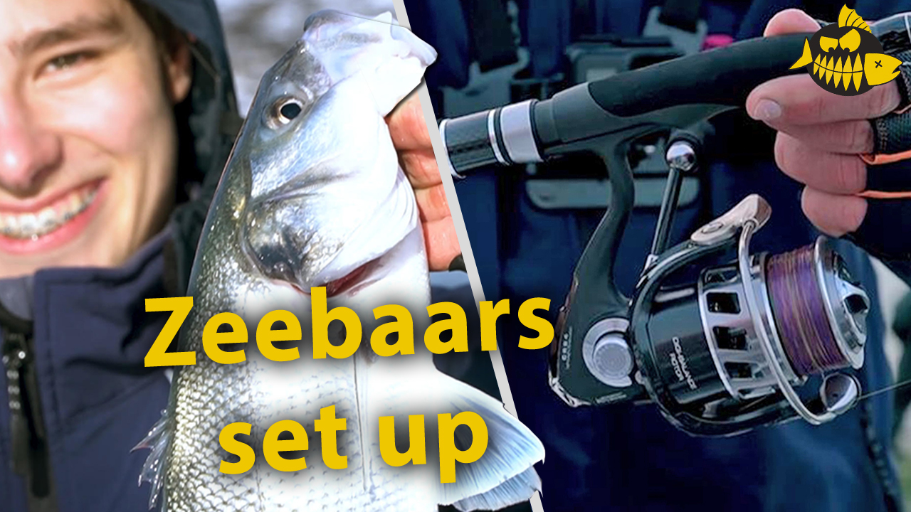 Zeebaars setup voor het nieuwe seizoen – HTO Nebula & Cinnetic Crafty Hybrid