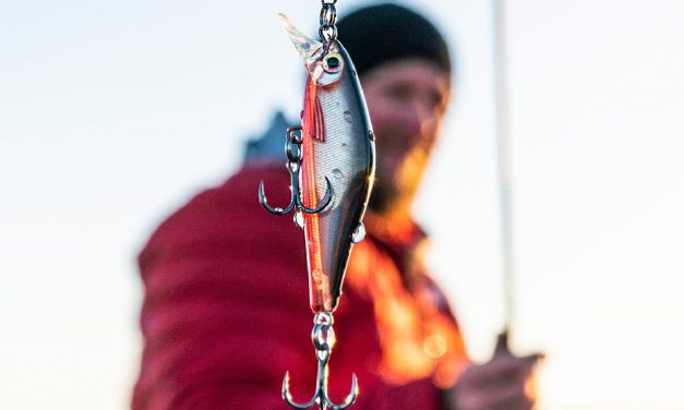 Met Rapala de gesloten tijd door