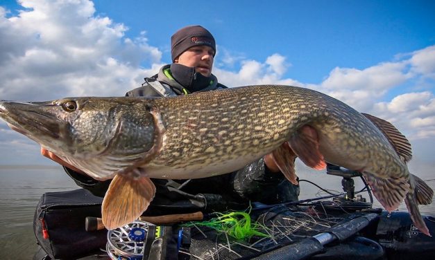 Vliegvissen op MEGA snoek – Zo vangt Christian Drost de monsters