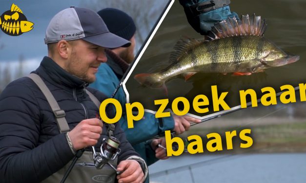 Alles uit de kast voor grote baars met Ultimate Fishing – Twitchbaits & Carolina rig