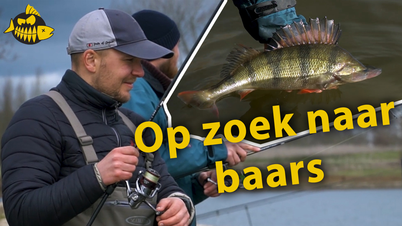 Alles uit de kast voor grote baars met Ultimate Fishing – Twitchbaits & Carolina rig