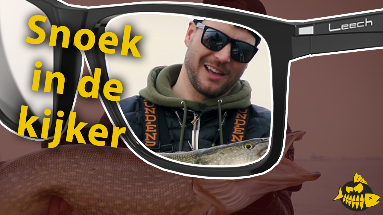 Door de ogen van Sean Wit – Meer zien met Leech