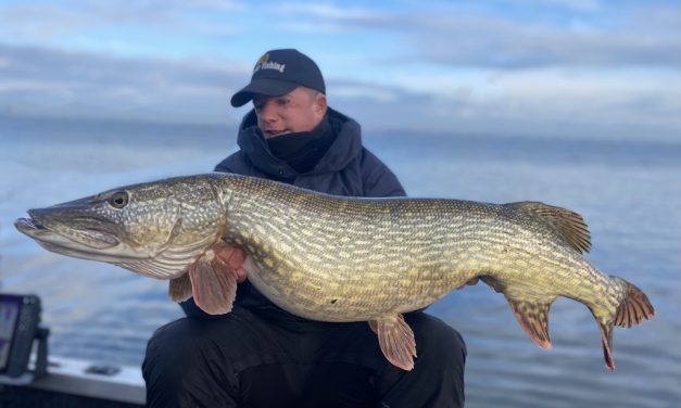 Snoek in beeld – Jeroen Bouwer over de HDS 12 Live