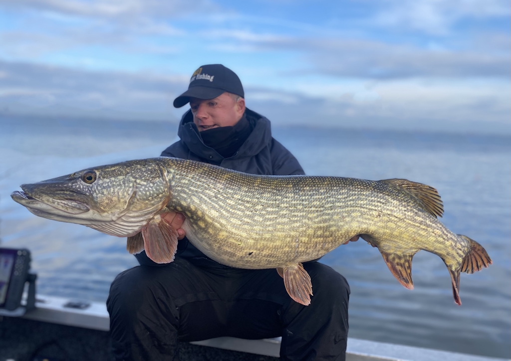 Snoek in beeld – Jeroen Bouwer over de HDS 12 Live