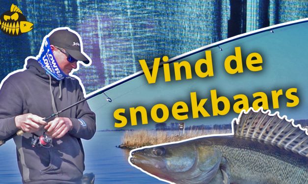 ***Roofmeister VIDEO*** Zo vind je snoekbaars met de fishfinder – Jan Boomsma kijkt onder water