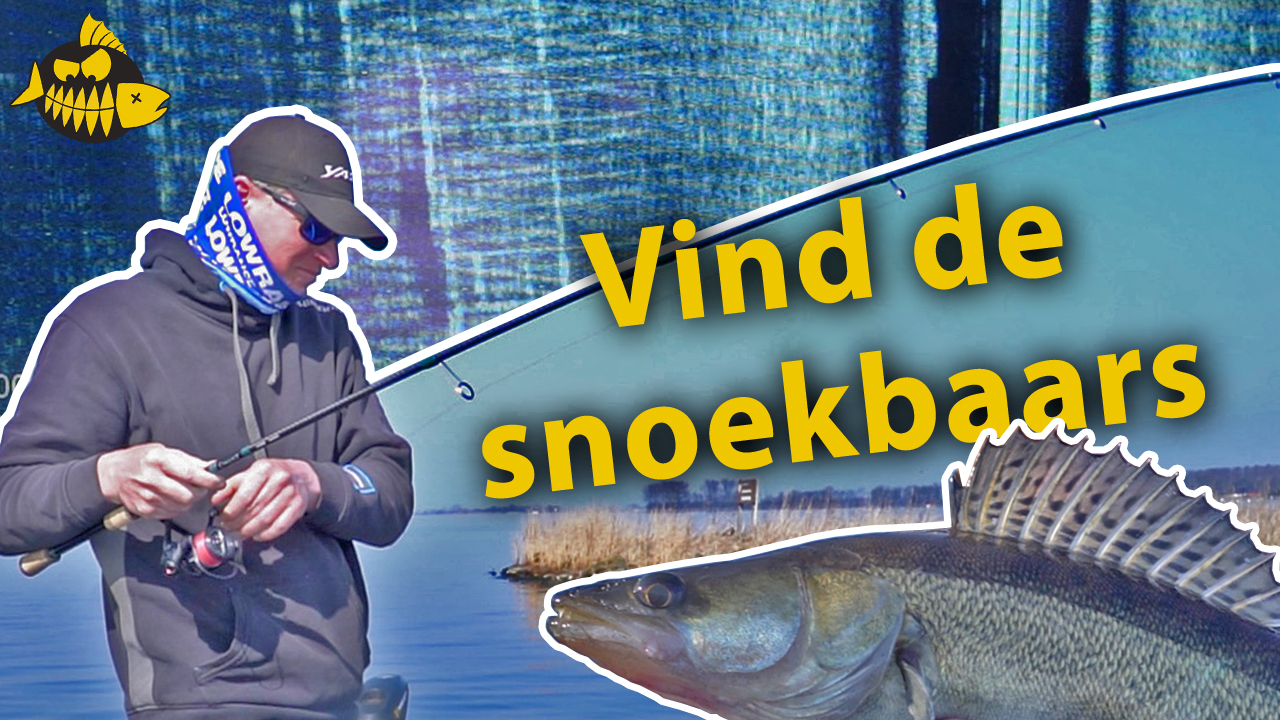***Roofmeister VIDEO*** Zo vind je snoekbaars met de fishfinder – Jan Boomsma kijkt onder water