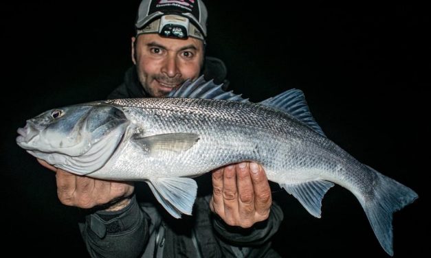 Is de zeebaars er al? Mehmet Buyukyilmaz over het nieuwe seizoen