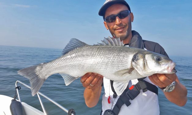 Kun je nu al zeebaars vangen – Mourat Akkouh over het nieuwe seizoen