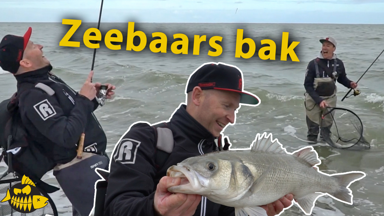 ***Roofmeister VIDEO*** Zeebaars bak van 70 cm – Roofvissen op het strand met Paans & van der Sanden