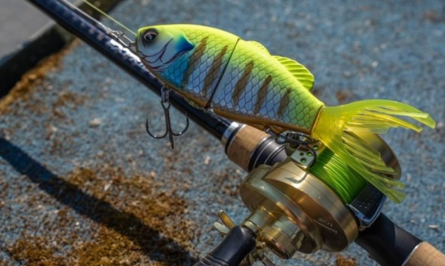 Op voorraad: Shimano kunstaas bij Rien de Wolf
