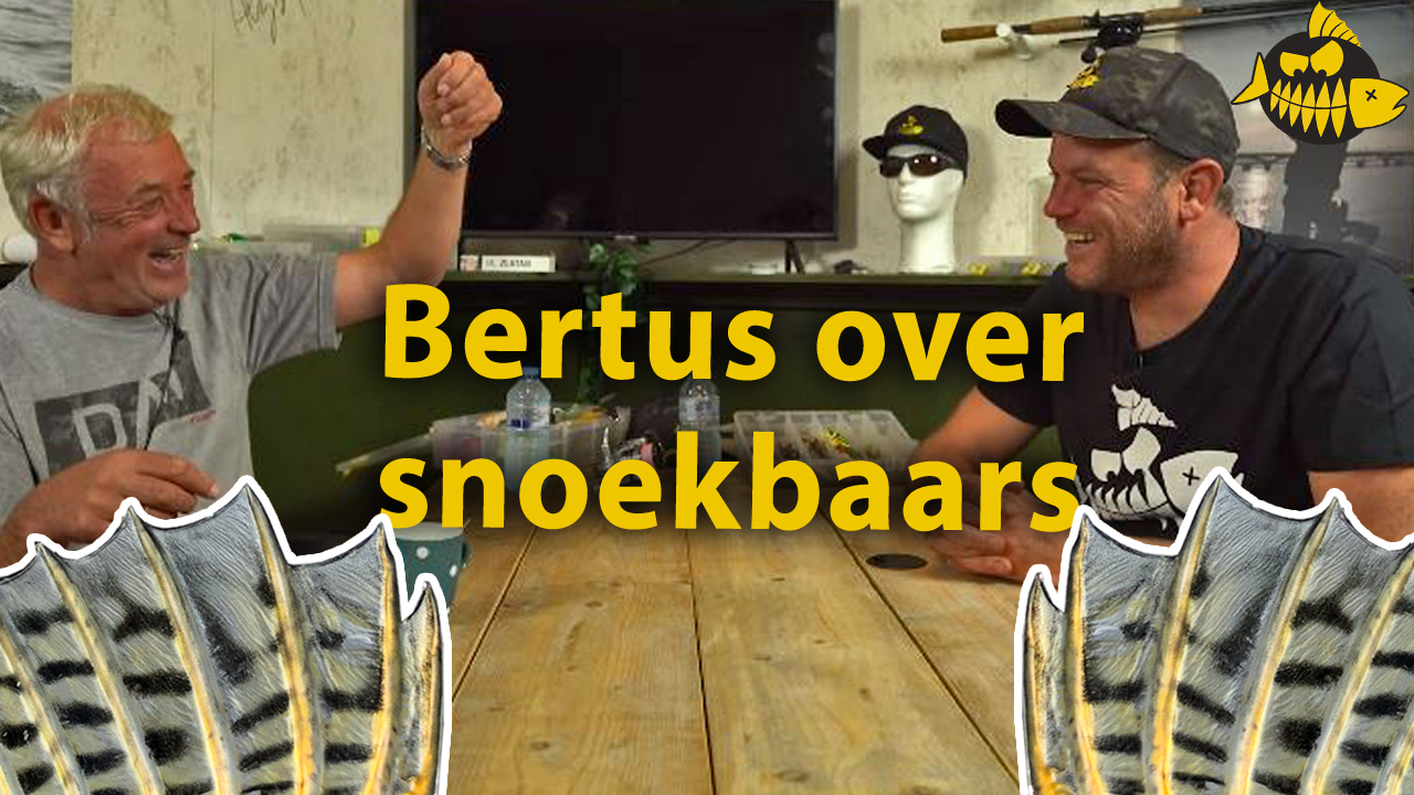De geschiedenis van het vissen op snoekbaars – In gesprek met Bertus Rozemeijer