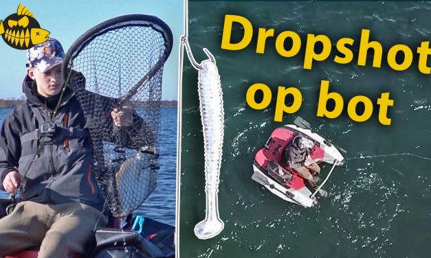 Dropshot set up – Op bot op het Oostvoornse Meer