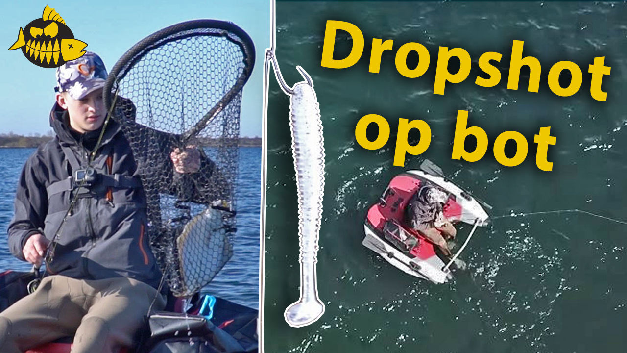 Dropshot set up – Op bot op het Oostvoornse Meer