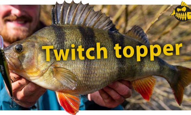Zo vis je met de Oneten twitchbait van Megabass op grote baars