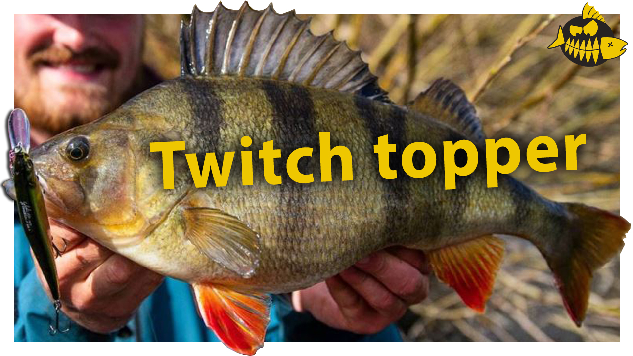 Zo vis je met de Oneten twitchbait van Megabass op grote baars