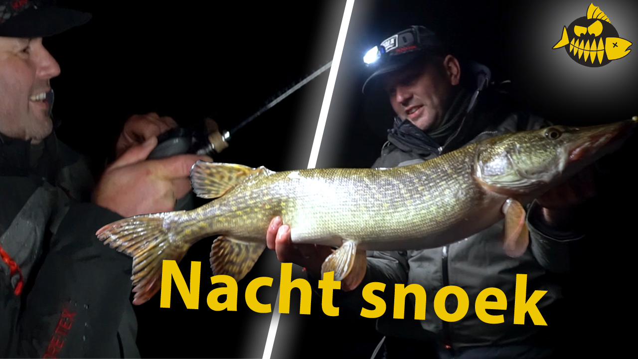 ***Roofmeister VIDEO*** Pelagisch achter de monstersnoeken aan – Sharpshooting met The Eagle