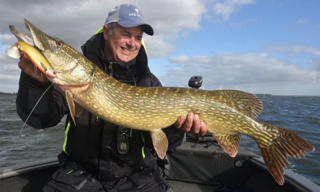 Top speed kunstaas, Roach killers & vissen op een jetski