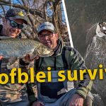 ***Roofmeister VIDEO*** Roofblei survival – Zilver is goud op de Grensmaas