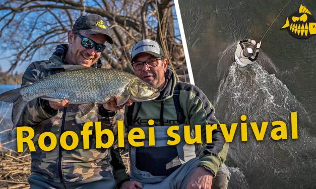 ***Roofmeister VIDEO*** Roofblei survival – Zilver is goud op de Grensmaas