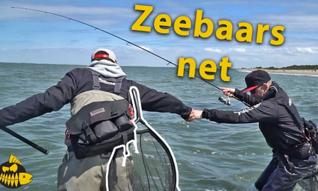 Must have net voor tijdens het vissen op zeebaars
